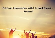 Mesaje frumoase pentru ziua prieteniei